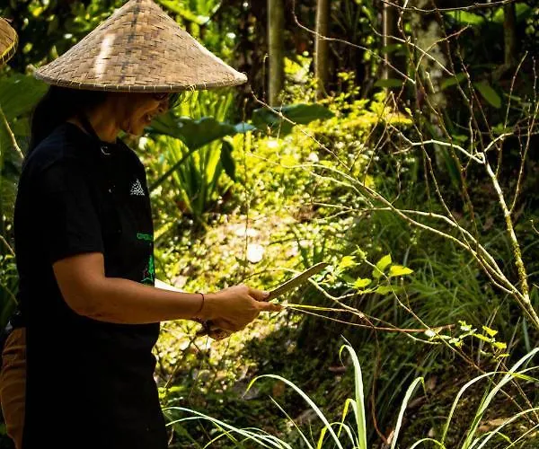 Kebun Kita Eco