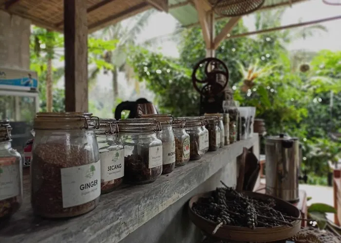Kebun Kita Eco Padangan