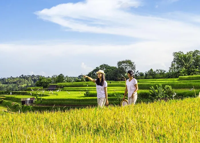 Kebun Kita Eco Padangan